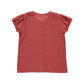 Top Gerbera Terracotta